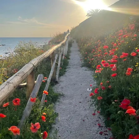 Alba Sul Mare