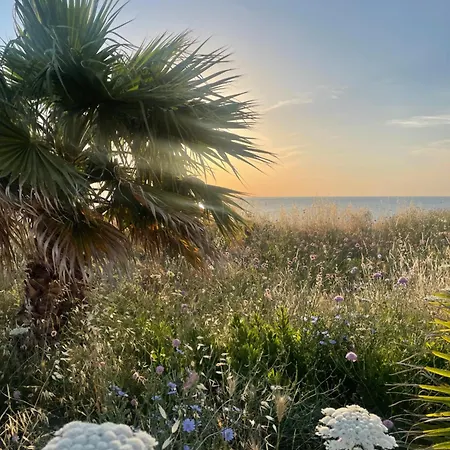 Alba Sul Mare *